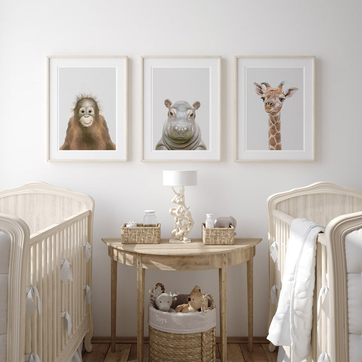 set of three nursery animal prints including a hippo