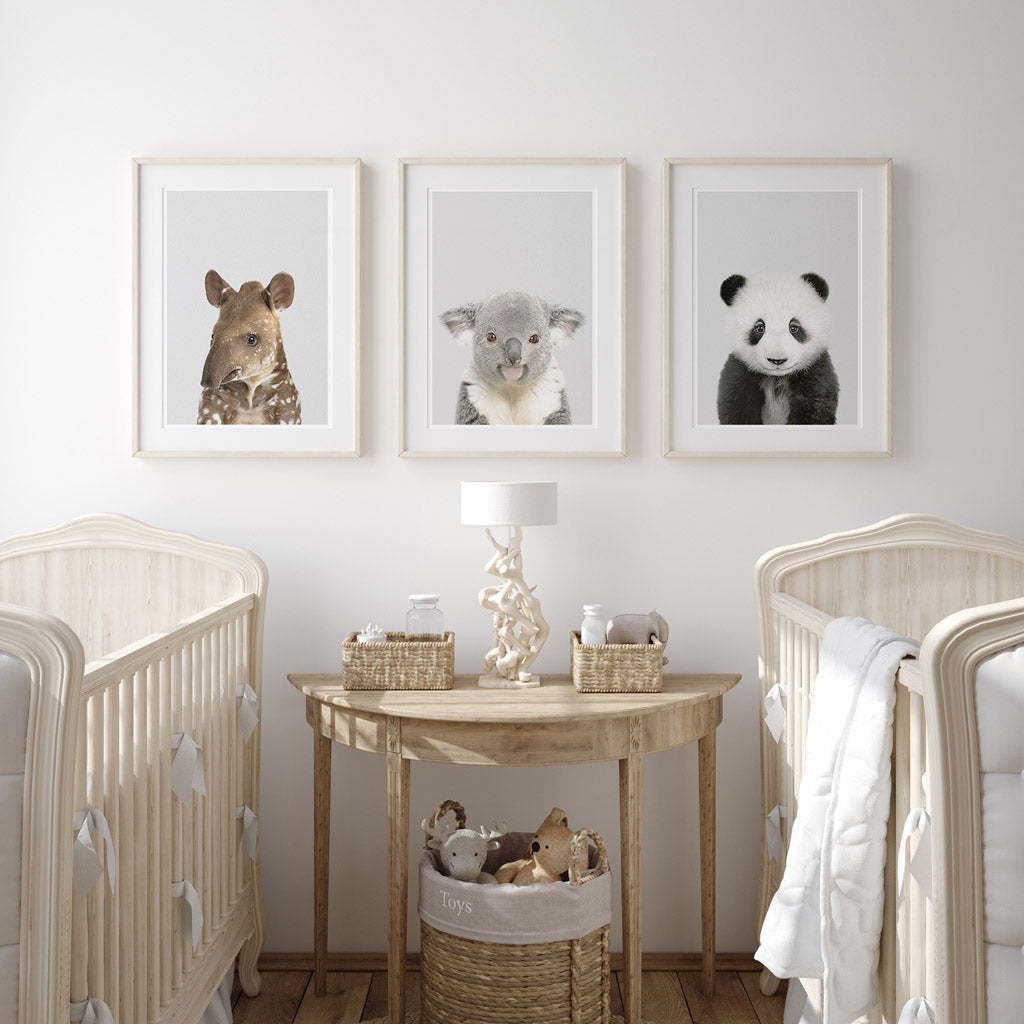 set of three nursery animal prints including a koala