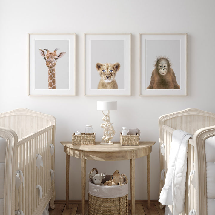 set of three nursery animal prints including a lion cub