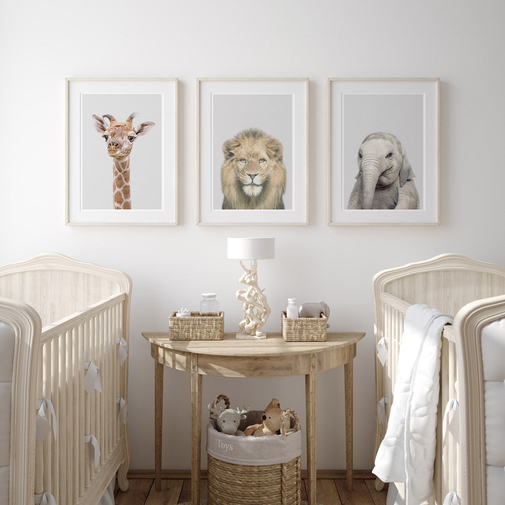 set of three nursery animal prints including a lion