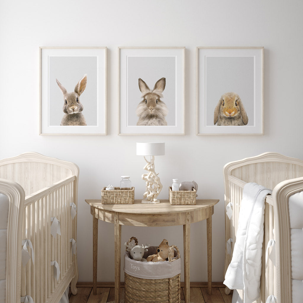 set of three nursery animal prints including a lionhead rabbit