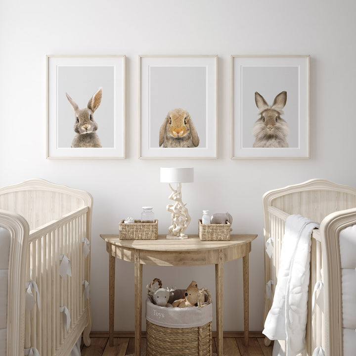 set of three nursery animal prints including a lop rabbit