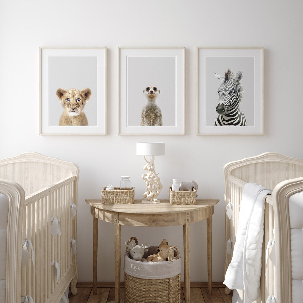 set of three nursery animal prints including a meerkat