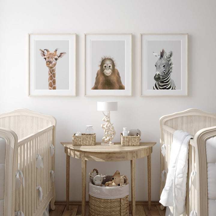 set of three nursery animal prints including a orangutan