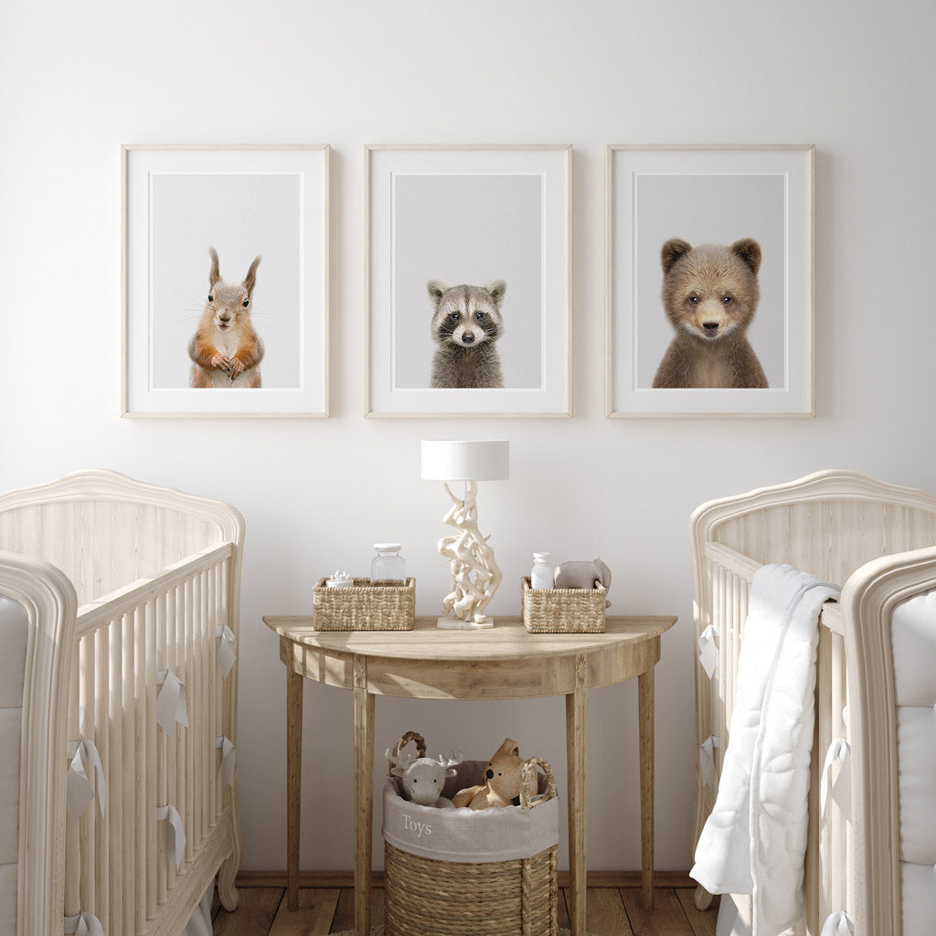 set of three nursery animal prints including a raccoon