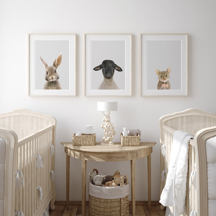 set of three nursery animal prints including a suffolk lamb