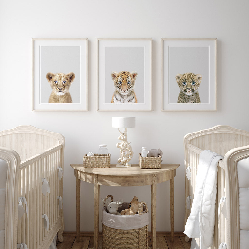 set of three nursery animal prints including a tiger cub