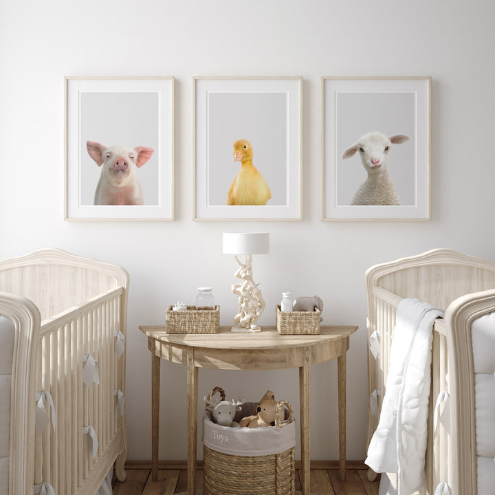 set of three nursery animal prints including a yellow duckling