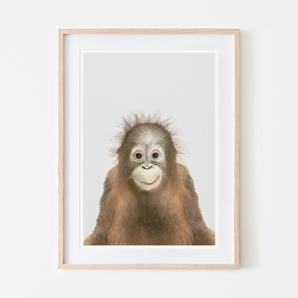 an art print of an orangutan