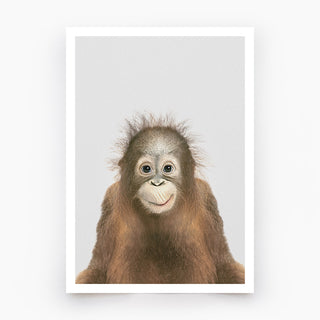 Orangutan Art Print