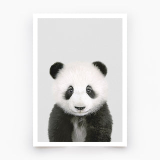 Panda Art Print