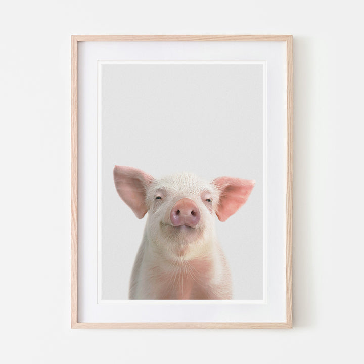 an art print of a piglet