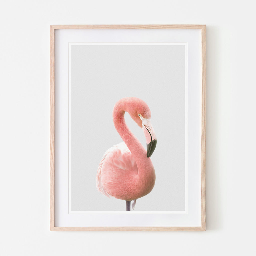 an art print of a pink flamingo