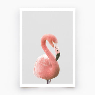 Pink Flamingo Art Print