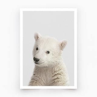 Polar Bear Art Print