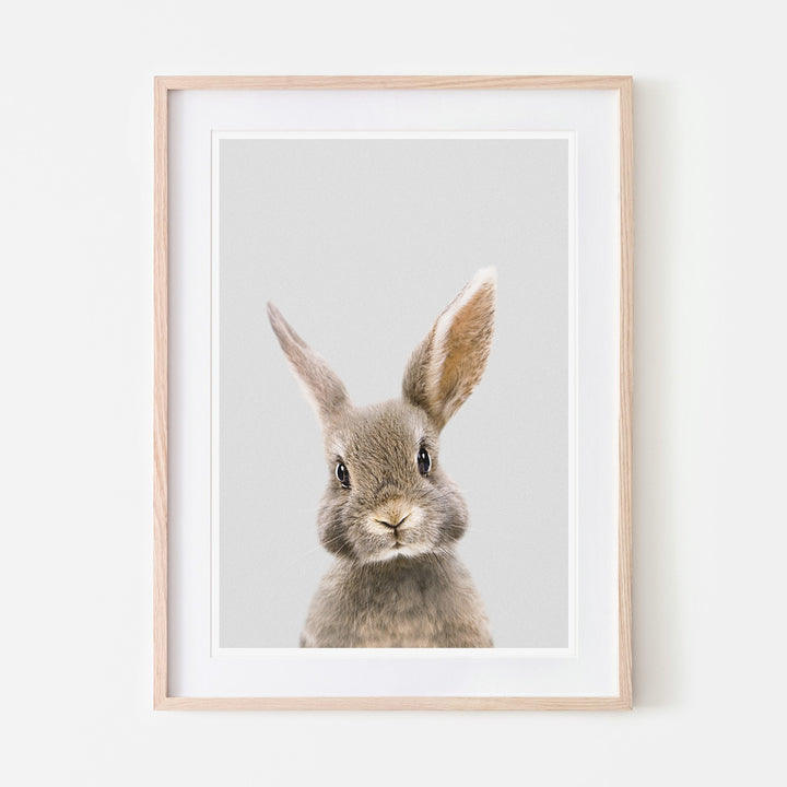 an art print of a brown rabbit