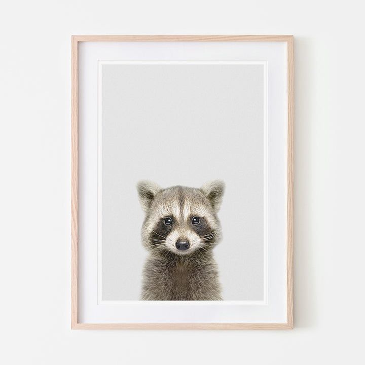 an art print of a raccoon