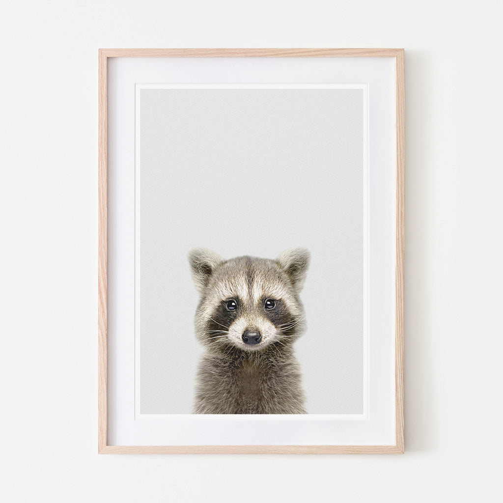 an art print of a raccoon