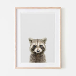 an art print of a raccoon