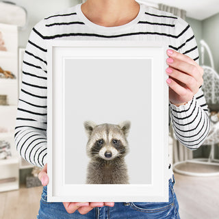 raccoon nursery decor 