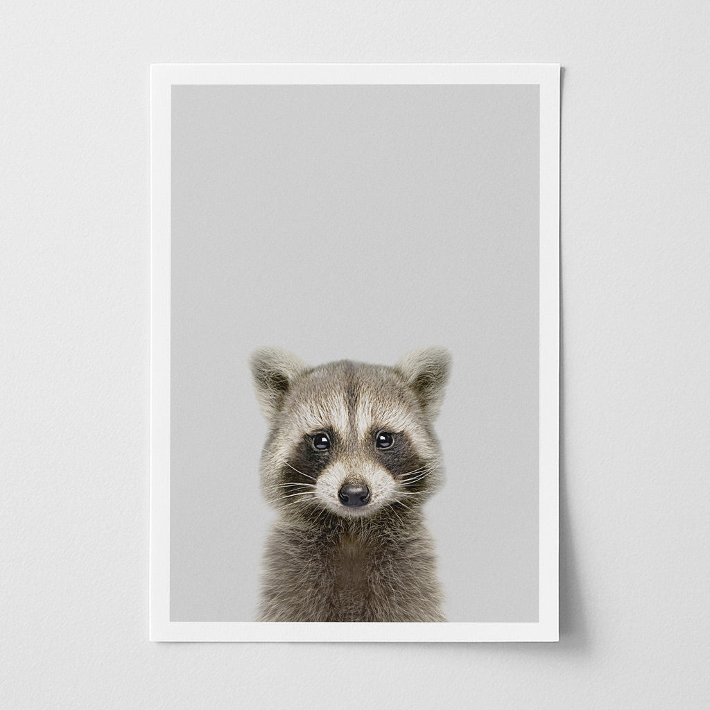 Raccoon Nursery Print - Cheeky Woodland Animal Artwork for Nurseries