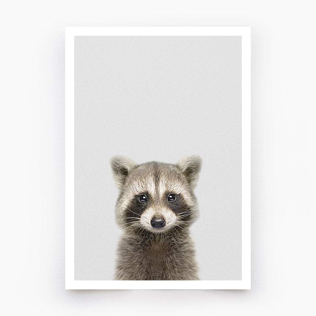 Raccoon Art Print