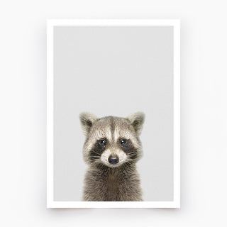 Raccoon Art Print