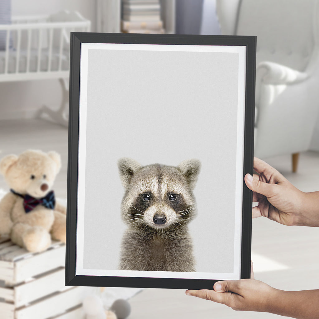 nursery animal prints raccoon
