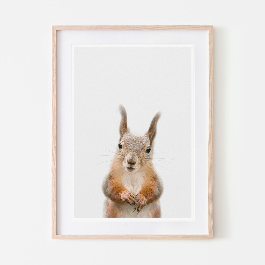 an art print of a red squirrel