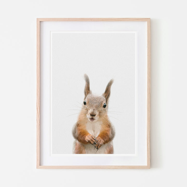 an art print of a red squirrel