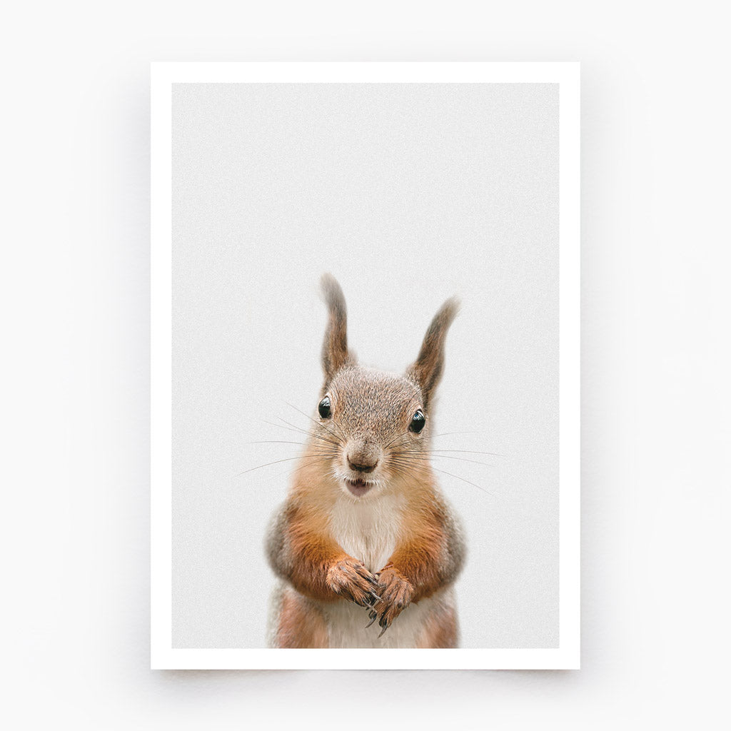 Red Squirrel Art Print