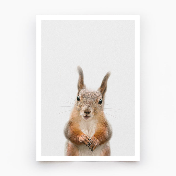 Red Squirrel Art Print