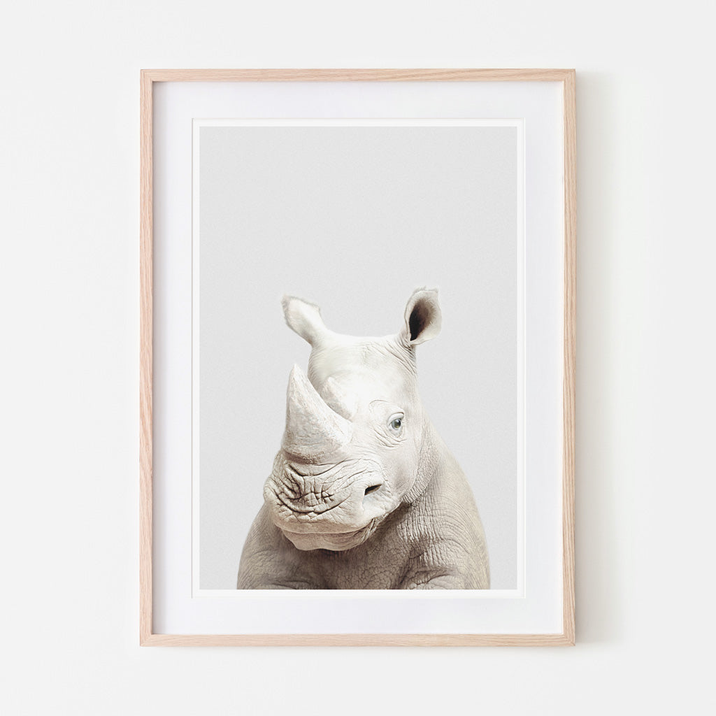 an art print of a rhino