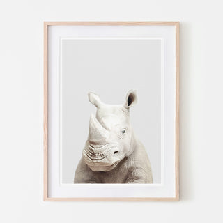 an art print of a rhino