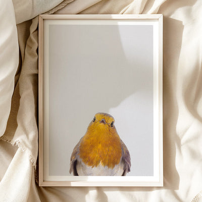 Robin Nursery Print - Charming Woodland Bird Art for Baby Rooms