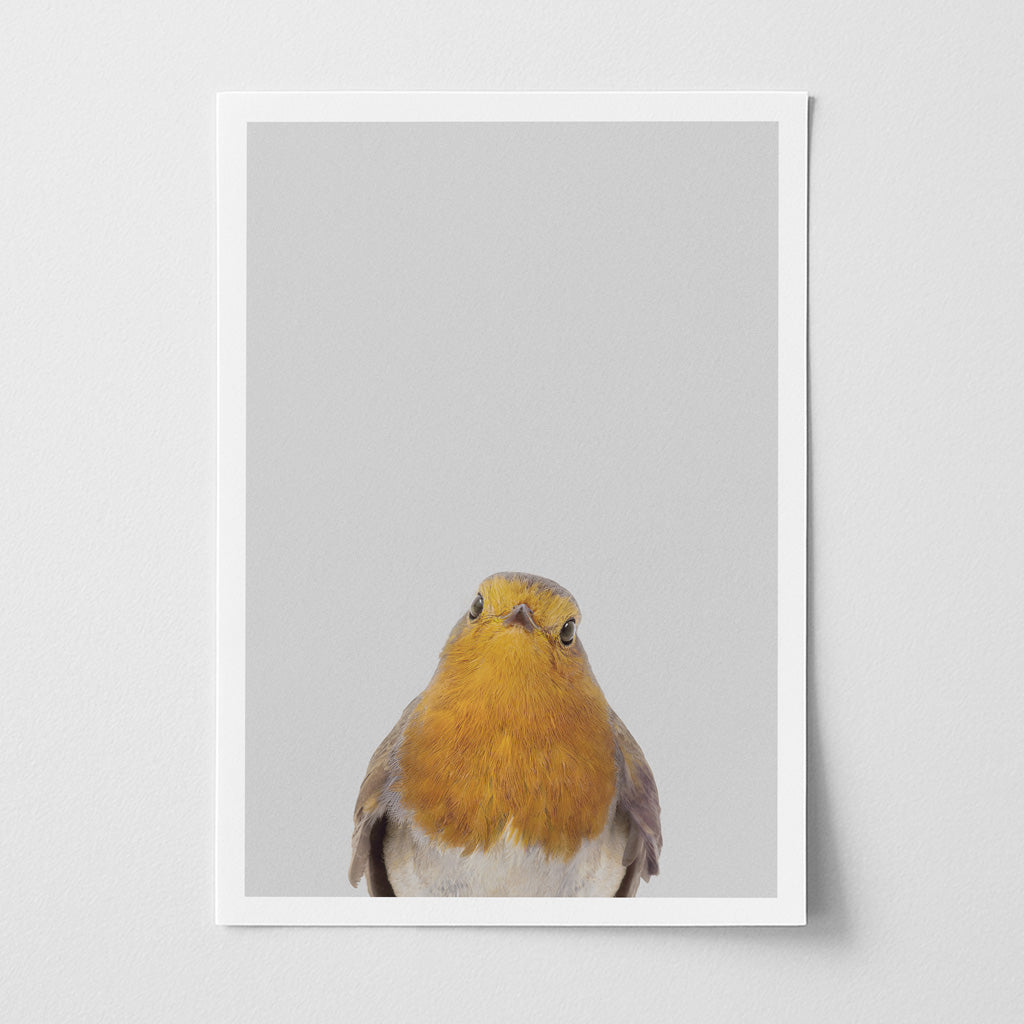 Robin Nursery Print - Charming Woodland Bird Art for Baby Rooms