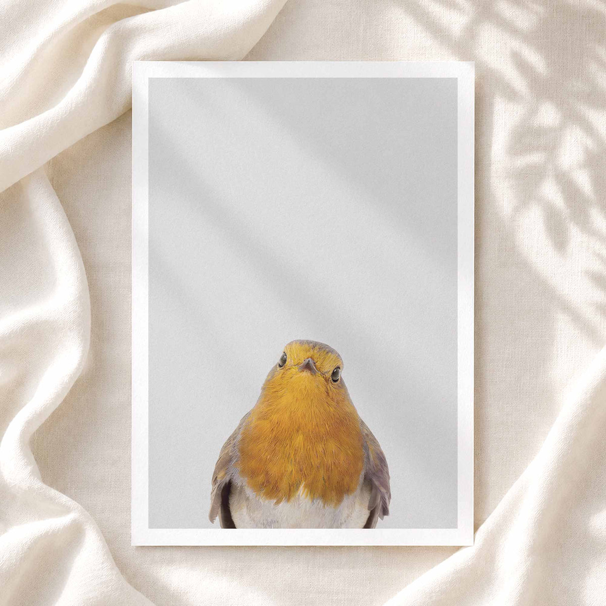 Robin - Nursery Animal Print