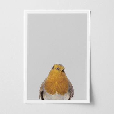 Robin Nursery Print - Charming Woodland Bird Art for Baby Rooms