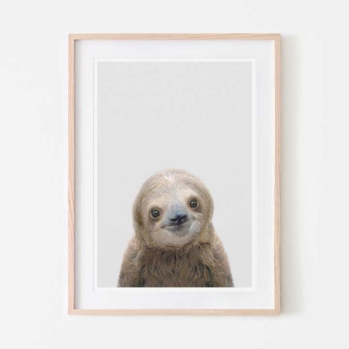 an art print of a sloth