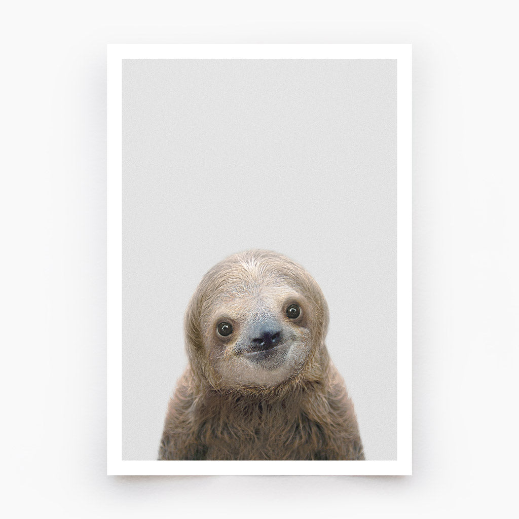 Sloth Art Print