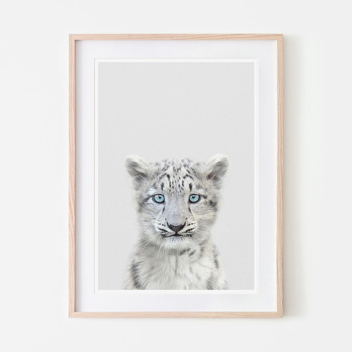 an art print of a snow leopard