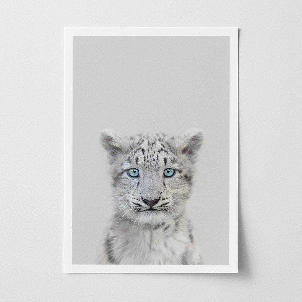 Snow Leopard Nursery Print - Rare Mountain Animal Artwork for Nurseries