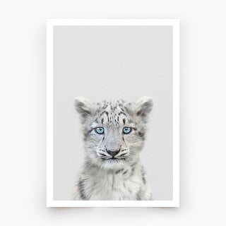 Snow Leopard Art Print