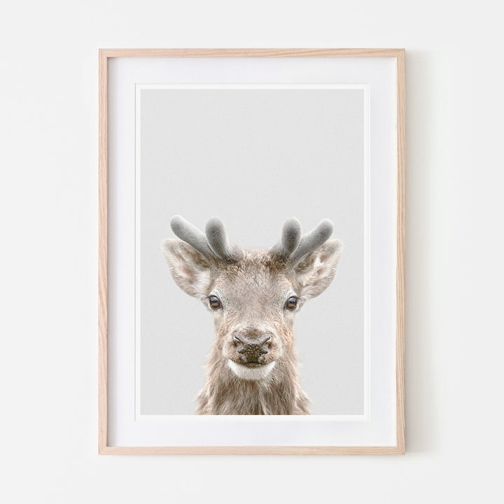 an art print of a stag