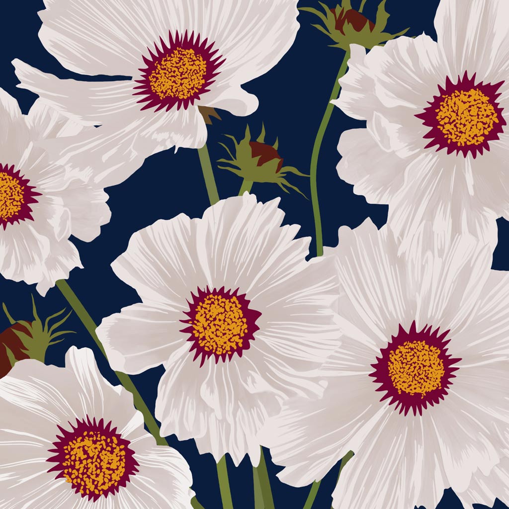 COSMOS FLOWERS • Art Print