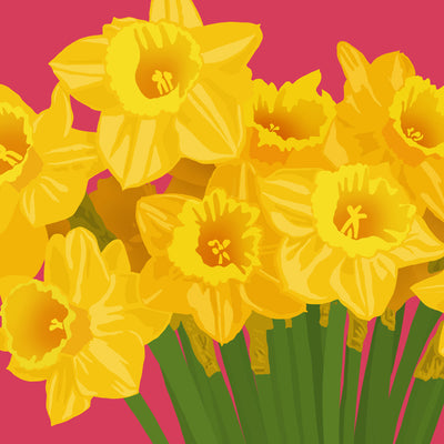 DAFFODILS IN BLOOM • Art Print