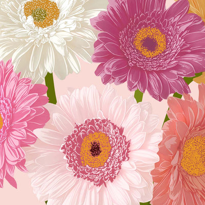 GERBERA DAISIES • Signed Art Print