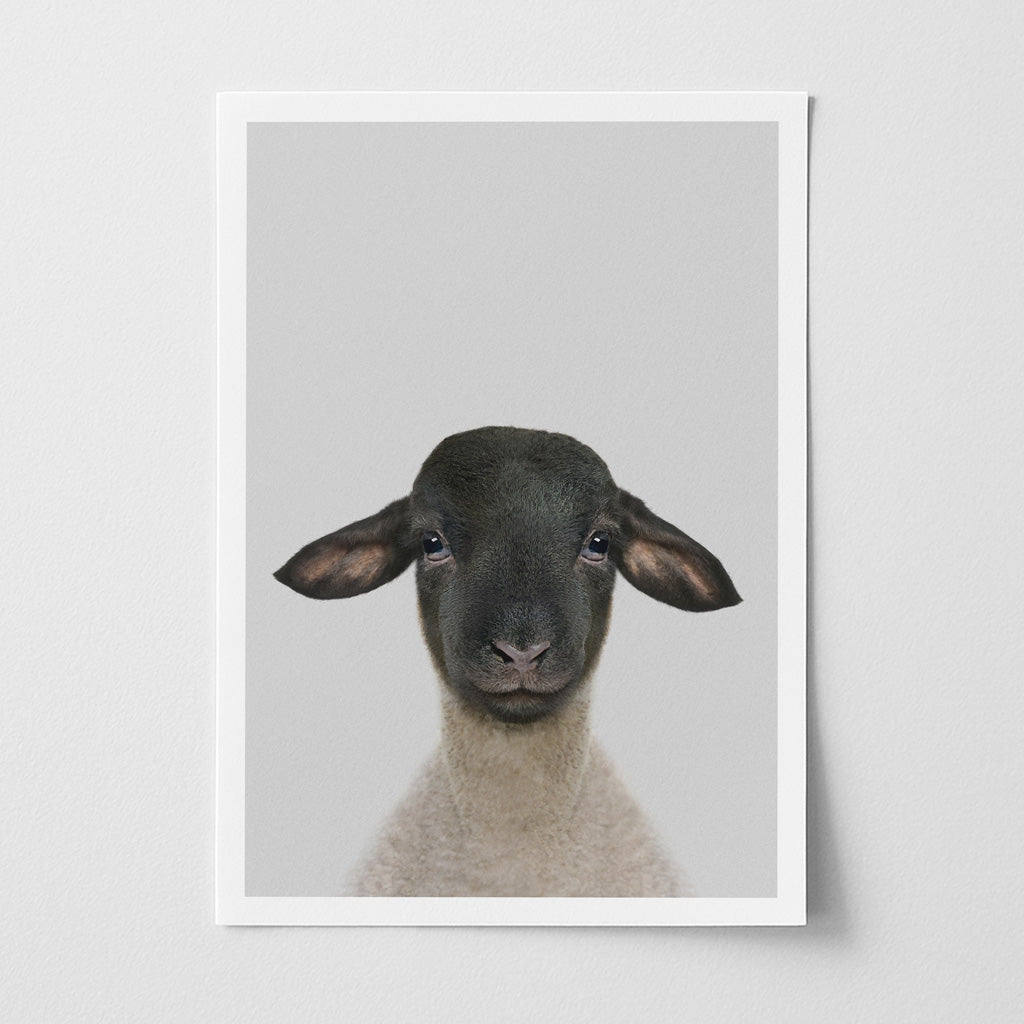Suffolk Sheep Nursery Print - Cute Farmyard Wall Art for Toddlers