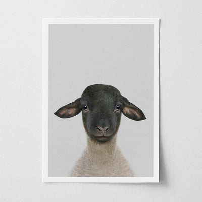 Suffolk Sheep Nursery Print - Cute Farmyard Wall Art for Toddlers