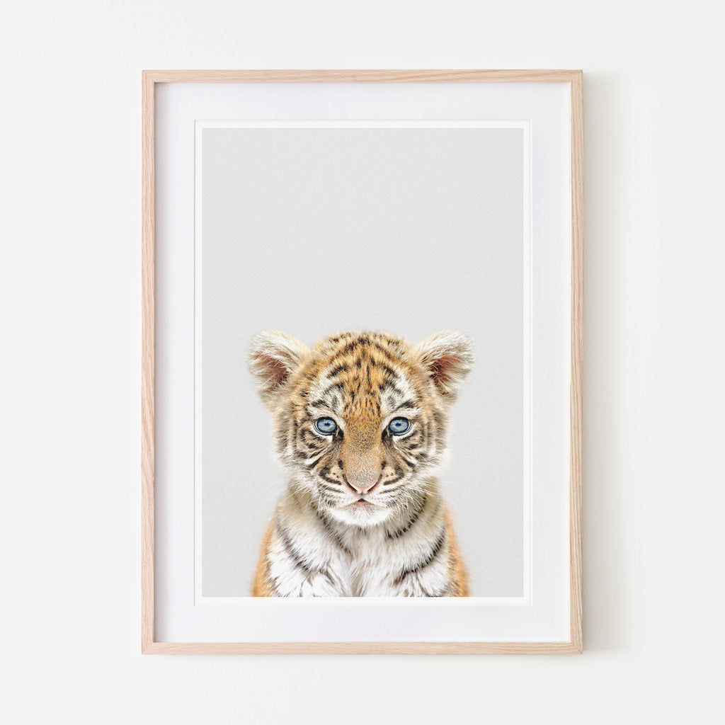 an art print of a tiger cub